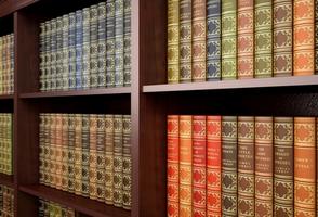 Shelves of law books